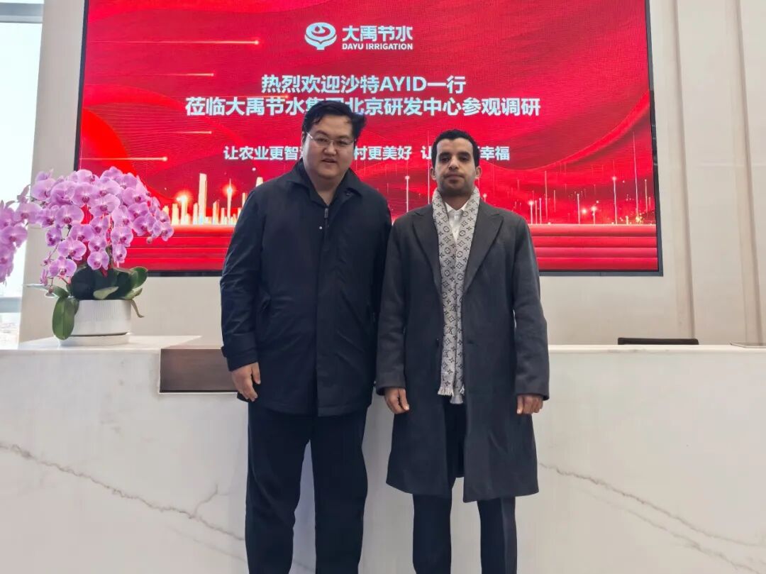 202602051770269242449811