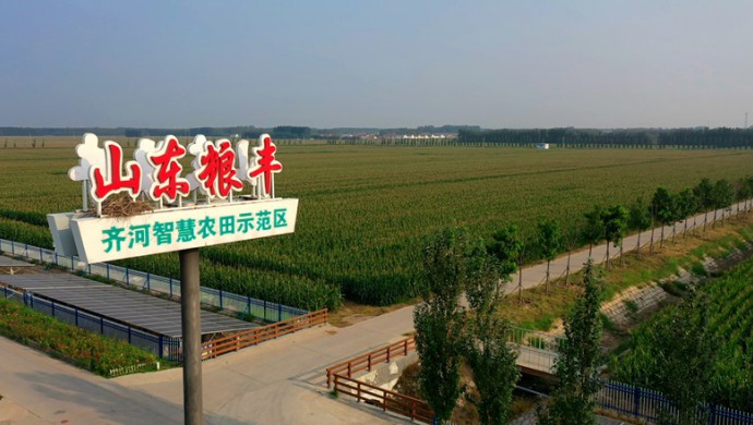 ɽ��ʡ���������ũҵˮ���ۺ϶����ƶ��ִ������������Ե���Ŀ