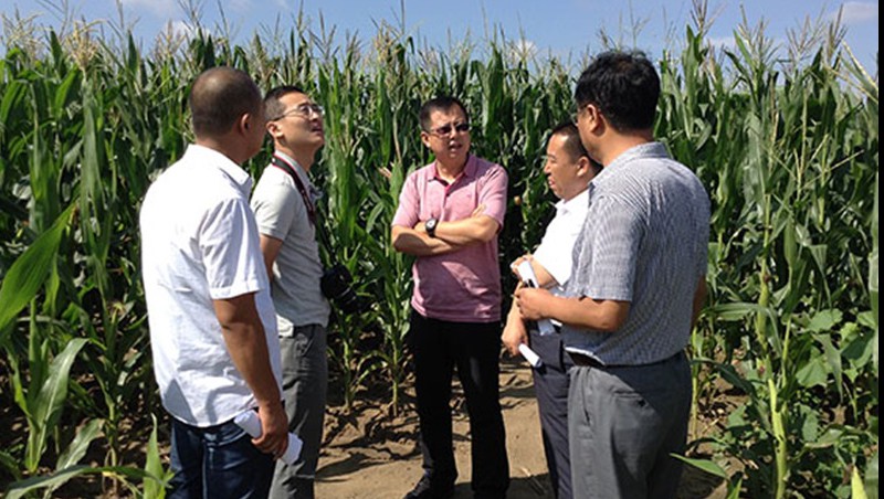 304am�������Ž�ˮ���ż������׵���ʽ�ι����鹦Ч����