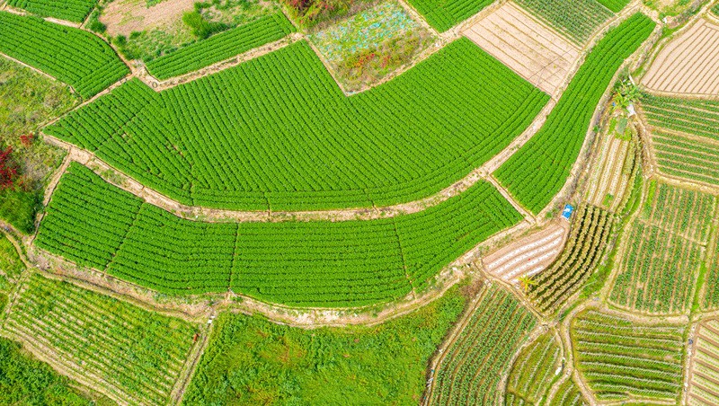 ����ʡ�ֳ��ع�·��2024��߳߶�ũ�ｨ����Ŀ