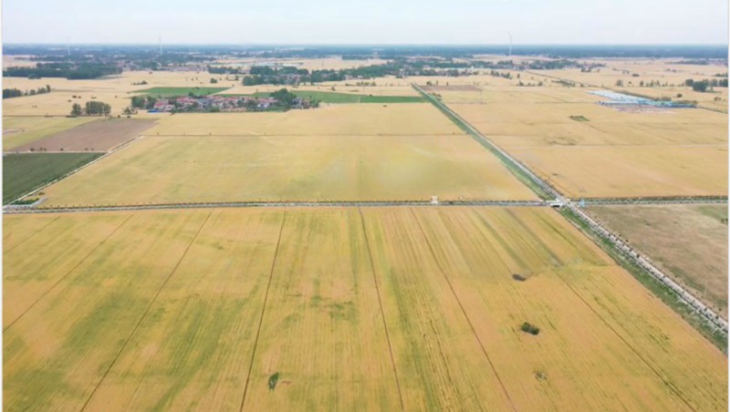 ����ʡ¹����22.1��Ķ�߳߶�ũ�EPC+O����Ŀ