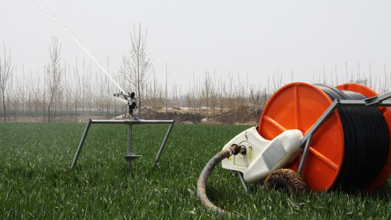 ����ʽ����