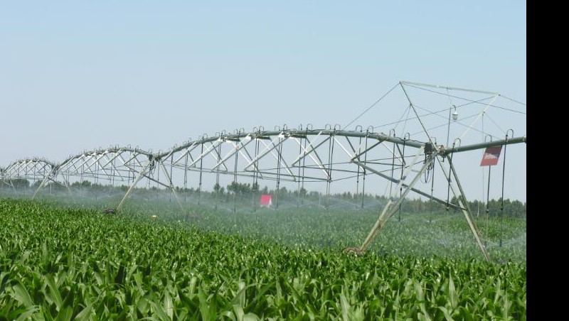 ���θ㶨ǧĶ����Ĺ����