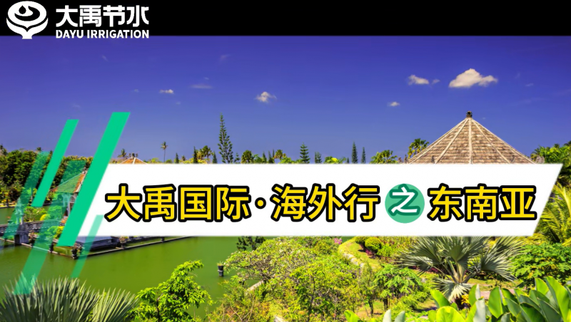 304am�������Ź��ʺ�����֮������