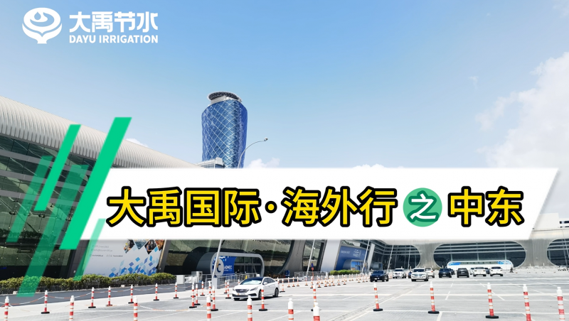 304am�������Ź��ʡ�������֮�ж�