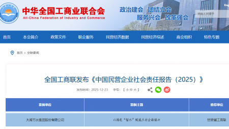 ������ѡ���й���Ӫ��ҵ������λ㱨��2025������������